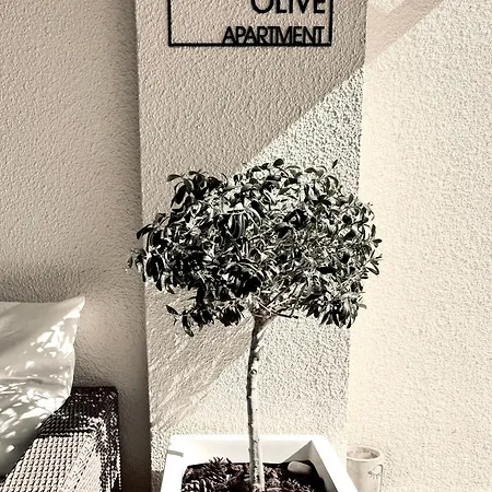아파트 Olive